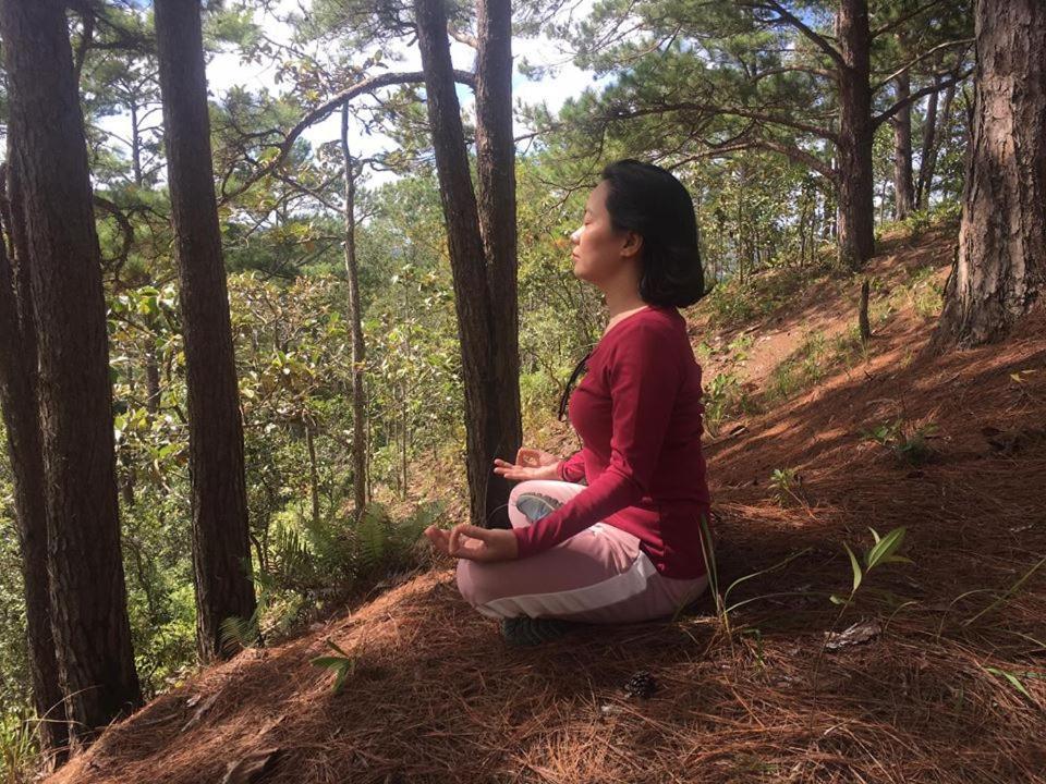 Farmstay O A Phao - Km37 Ham Yen Tuyên Quang Kültér fotó